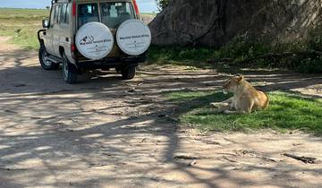 3-tägige Serengeti-Ngorongoro-Tarangire Safari von Zanz\'B Rundreise