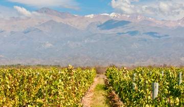 Premium Chile, Argentina & Brazil (6 destinations) Tour