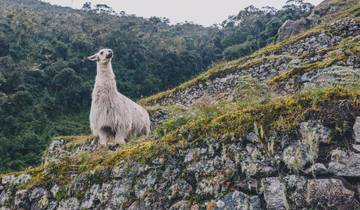 South America Highlights (from Lima to Rio de Janeiro)