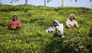 India – een expeditie naar Sikkim, Assam & Nagaland-rondreis