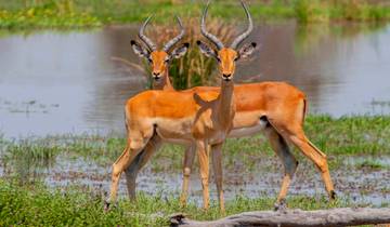 Explore Southern Africa