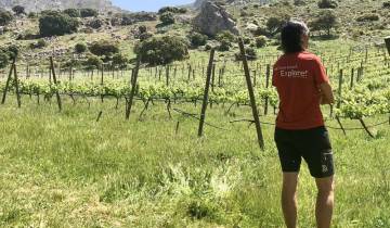 Mejorada - Senderismo en Andalucía