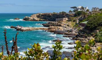 Kaapstad: tussen de bergen en de oceaan-rondreis