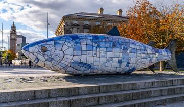 Les secrets de l\'île d\'Émeraude : un road trip en Irlande circuit