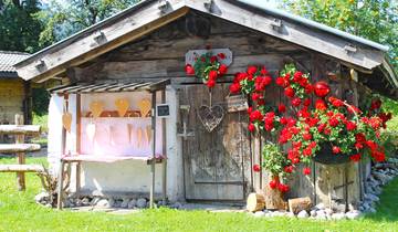 Tauern Cycle Path Krimml-Passau 8 days (8 days)