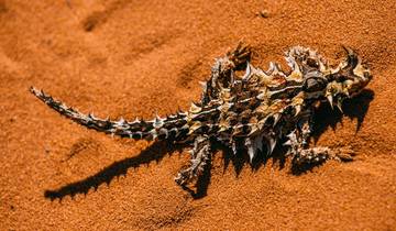 Aventure de Perth à Exmouth - 6 jours