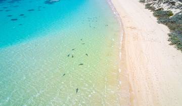 Best of Western Australia’s North Coast - 7 days