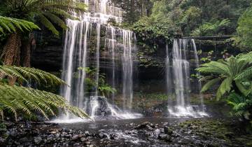 Grand Tasmania Explorer - 7 days