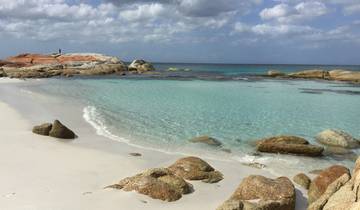 Tasmania Wilderness & Coast Discovery - 5 days