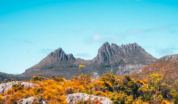 Wild Tasmania & Coastal Wonders - 6 days