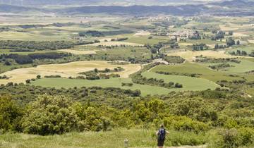 Marcher sur le Camino de Santiago (New8day)
