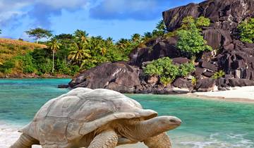 Bolivia, Peru & Ecuador with Galápagos : The Spirit of the Andes & Islands