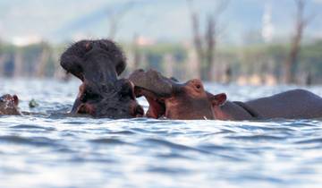 Premium Ouganda, Rwanda et Kenya (6 destinations)