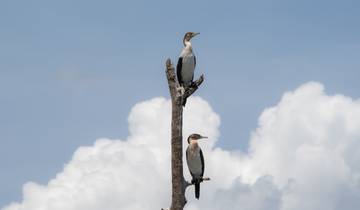 Premium Uganda, Rwanda & Kenya