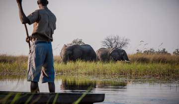 Trans-Kalahari Odyssey: 21 Days: Namibia • Botswana • Zimbabwe • Desert, Delta Discovery