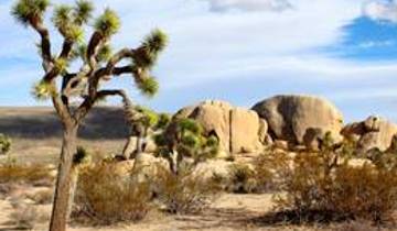 Best of California National Parks - 6 days