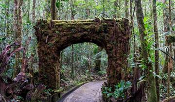 Family Borneo Wildlife Adventure