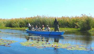 Walking Safari in Zambia