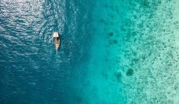 Plages, parcs animaliers et gorilles (from Stonetown to Nairobi)