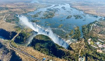 Des gorilles à Vic Falls (from Nairobi to Victoria Falls)