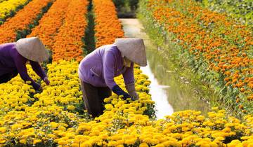 Zauberhafter Mekong und Siem Reap 2026-2027|2027-2028 - 11 Tage (von Siem Reap bis Ho Chi Minh Stadt) Rundreise