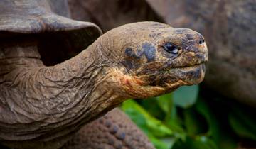 8 jours d\'aventure en famille en Amazonie et dans les îles Galápagos circuit
