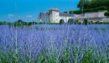 Lovely France with Barcelona (31 destinations)