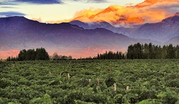 Chili, Argentine et Brésil - Santiago