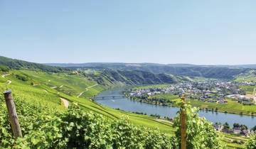 Moselle - Un classique décontracté