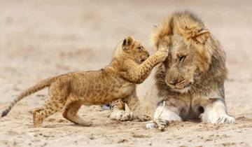 Circuit privé de 5 jours (milieu de gamme)