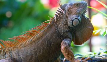 Best of Costa Rica Tour