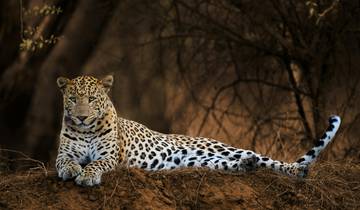 Circuit aventure Delhi Agra Jaipur & Ranthambore - 7 jours