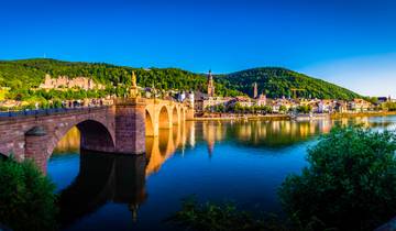 La vallée romantique du Rhin et le rocher de la Lorelei (croisière de port à port)