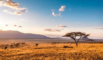 Kenya & Tanzanie - le rythme de la vie sauvage circuit