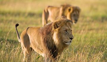 Zwischen Lowenpfaden und Akazientraumen Rundreise