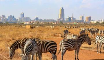 Safari guidé d\'une demi-journée au parc national de Nairobi (Kenya) et correspondance aérienne pour Lusaka (Zambie) circuit