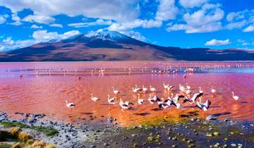 Peru, Bolivia & Chile Round Trip - 23 Days Natural Wonders & Inca Mysticism Tour