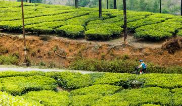 Cycle South India - Tamil Nadu to Kerala