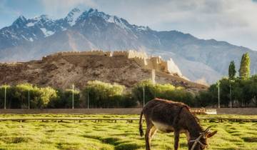 13 Days Highlights Silk Road Small Group Tour (Max 20) | Northwest China Package Adventure Tour
