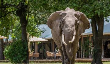 Circuito VACACIONES DE 11 DÍAS EN TANZANIA