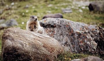 Alpenüberquerung vom Königssee zu den Drei Zinnen mit Hotelkomfort (8 Tage)
