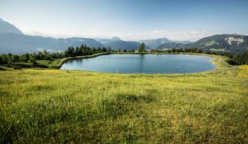 Een ontspannen wandeling door de Kitzbüheler Alpen (7 dagen)