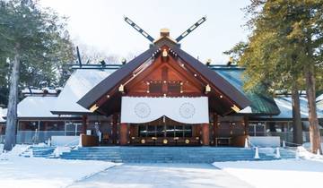 7 Days Ski Niseko, Winter in Hokkaido Tour (private guide and driver）- Customizable
