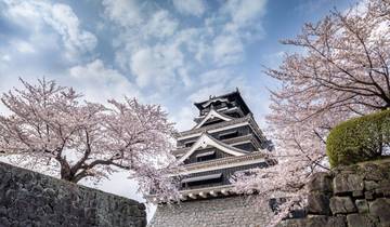 10-Day Kyushu Adventure in Japan (Private Guided & Charter Car)