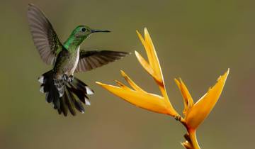 Ecuador Gateway 5 Tage Tour Rundreise