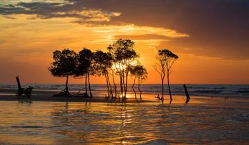 Darwin 4 Days: Explore, Cruise & Unwind by the Harbour Tour