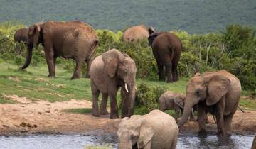 15-daags avontuur in zuidelijk Afrika: Wilde dieren, steden & cultuur-rondreis
