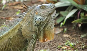 Costa Rica Full Adventure Tour