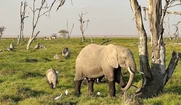 Kenya and Tanzania Safari 35 to 45 (35 To 45)