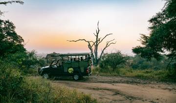 Cape, Safari and Falls 35 to 45 (35 To 45)